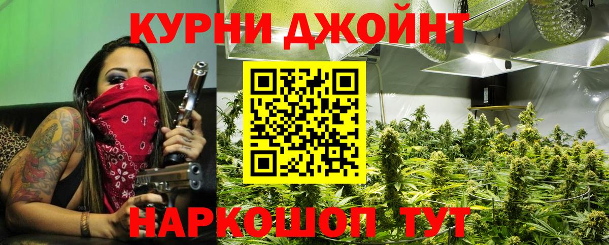 Марихуана сатива Томск