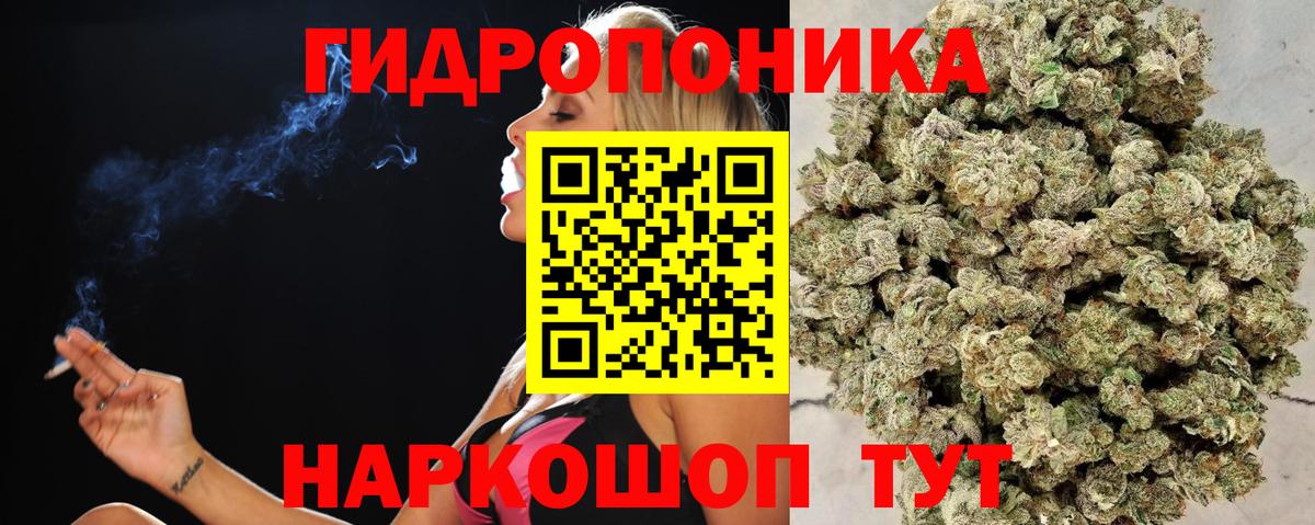 Томск  Шишки марихуана конопля  Вход с VPN  Бошки марихуана планчик 